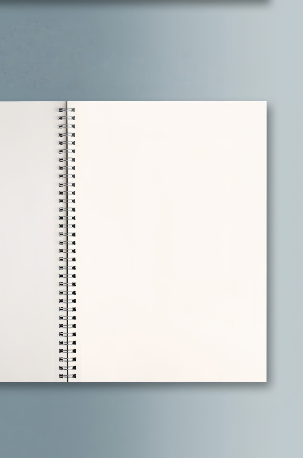 A6/A5 80-Sheet Notebook | Eye-Care Paper | Grid/Blank/Lined
